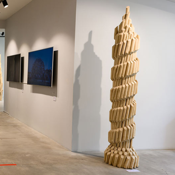 Винт большой, 2021, Николай Полисский