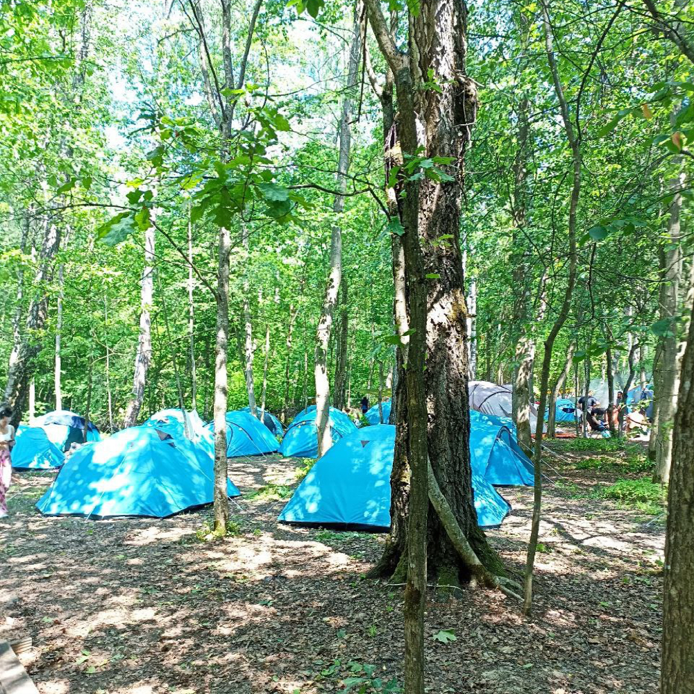 Четырехместная палатка в кемпинге Футбольный лес / 25-28 июля 2024